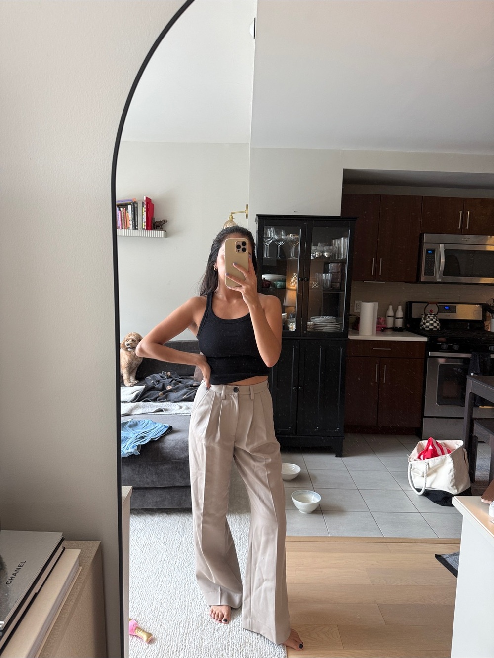 Anine Bing Cream & Green Wide-Leg High-Waist Trousers